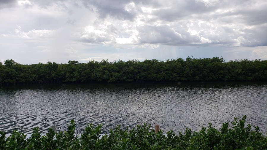 Canal View